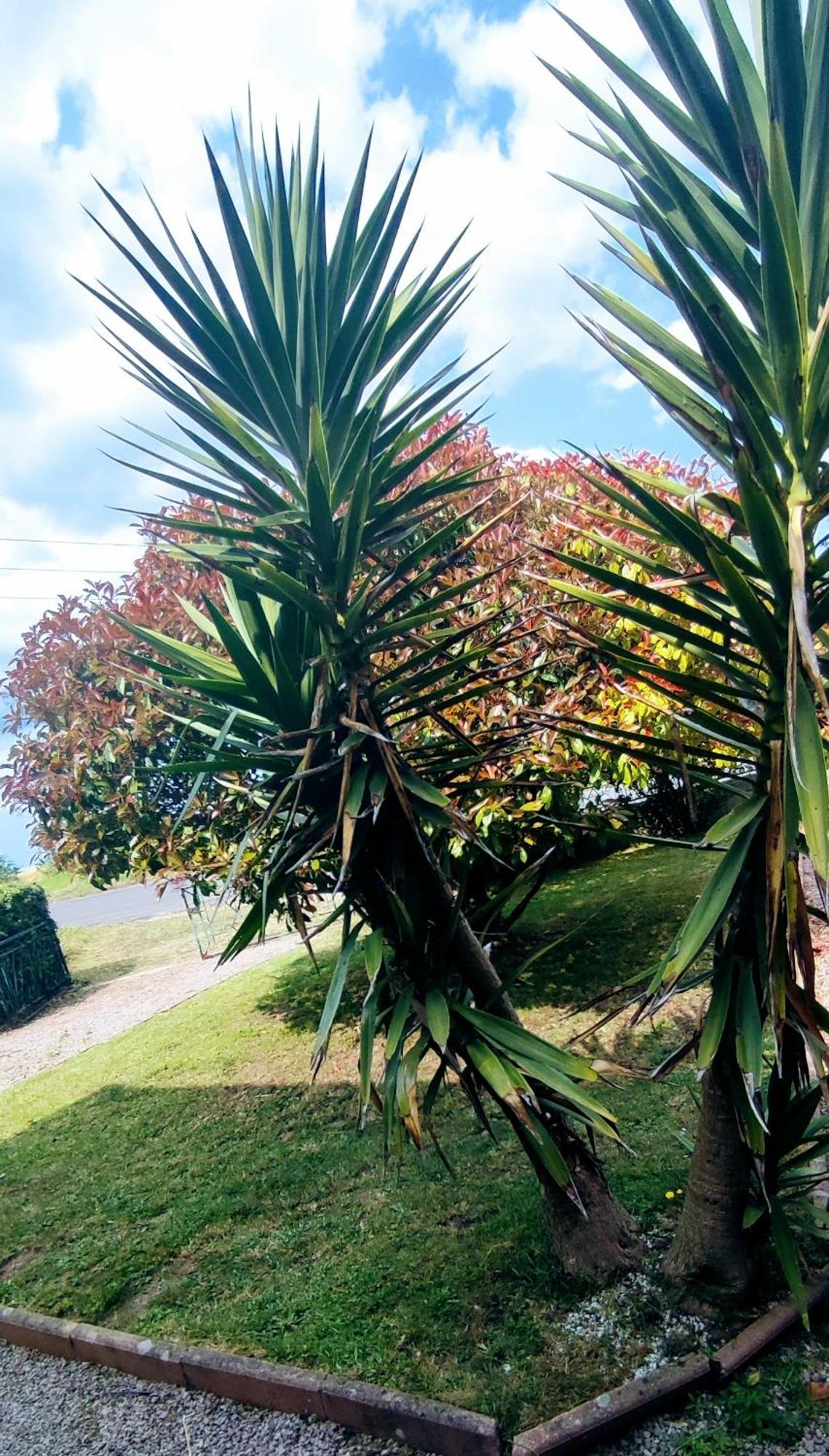 Studio De La Baie Langueux Dış mekan fotoğraf